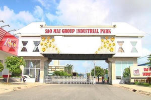 Tập đoàn Sao Mai (ASM): Giải thể công ty con, lãi năm 2025 giảm mạnh