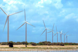 Năng lượng Bắc Phương mua lại trái phiếu trước hạn giữa đà giảm lợi nhuận