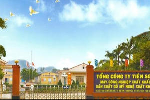 Lãi 30 tỷ đồng, Tiên Sơn Thanh Hóa (AAT) ồ ạt rót vốn công ty con giữa lùm xùm thao túng cổ phiếu