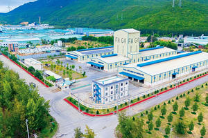 Gia Lai chấp thuận đầu tư Khu công nghiệp Cát Trinh hơn 2.500 tỷ đồng