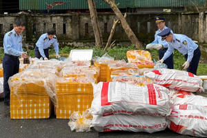 Phát hiện, tiêu hủy hơn 2,6 tấn nội tạng động vật không rõ nguồn gốc