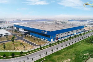 Lãi ròng 2025 lao dốc, Hữu Nghị (HNF) chi 45 tỷ đồng trả cổ tức, 96% dòng tiền chảy về nhóm Chủ tịch Trịnh Trung Hiếu