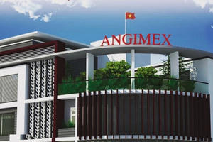 Lỗ lũy kế vượt 522 tỷ đồng, Angimex (AGM) bị kiểm toán đặt nghi vấn về khả năng hoạt động liên tục