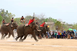 Kỳ thú đua voi ở Buôn Đôn