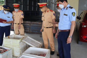 Phú Thọ: Số lượng lớn nội tạng động vật bốc mùi hôi thôi bị thu giữ trên trên đường đi tiêu thụ