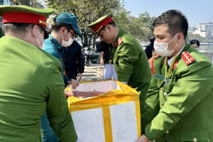 Hà Nội: Cá chép tiễn ông Táo "lên xe cảnh sát" ra sông Hồng