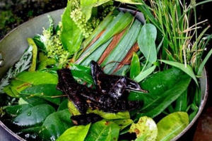 Không xông cho trẻ em mắc COVID-19