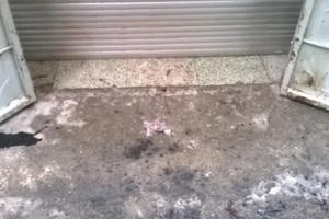 Nhà dân bị ném “bom bẩn”, công an thờ ơ!?