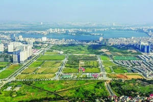 Cách xử lý đối với các trường hợp sử dụng đất có sự mâu thuẫn với quy hoạch