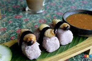 Rùng mình với món sushi đuông dừa kinh dị ở Malaysia