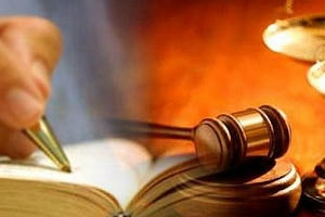 Phân công chủ trì soạn thảo văn bản quy đinh chi tiết thi hành các luật