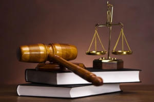 Thủ tướng phân công soạn thảo các dự án luật