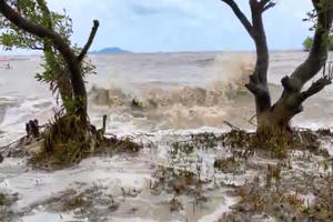 Bờ biển ở Cà Mau sạt lở nghiêm trọng làm xáo trộn đời sống người dân