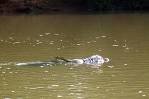 Hải Dương: Hoảng hồn phát hiện thi thể người trong bao tải trôi sông