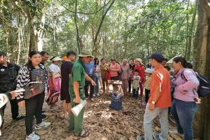 Xây dựng hồ sơ đưa Địa đạo Củ Chi vào danh mục Di sản thế giới