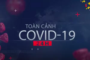 Toàn Cảnh Covid-19 Ngày 28/1