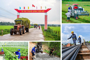 Bộ Tài chính điểm tên 10 tỉnh chậm giải ngân vốn đầu tư công của Chương trình mục tiêu quốc gia