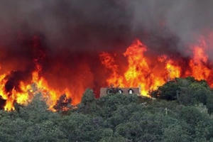 Quảng Ninh: Dập tắt cháy rừng tại thị xã Đông Triều