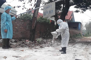 Cúm A/H5N6 trở lại, lệnh cấm bán tháo gia cầm ở vùng dịch