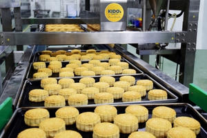 Phạt và truy thu thuế gần 21 tỷ đồng đối với Tập đoàn KIDO