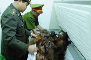 Cấm cán bộ ăn nhậu, nhận quà biếu bằng thịt thú rừng