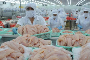 Cá tra Việt Nam bị áp thuế cao kỷ lục tại Mỹ