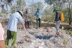 Dịch tả lợn Châu Phi bùng phát trên 22 xã, phường ở Quảng Trị