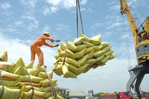 Audio Tài chính Plus: Xuất khẩu gạo tăng trưởng đột biến