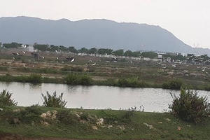 Cận cảnh “siêu dự án” Golden Hills nợ 244 tỷ đồng tiền sử dụng đất