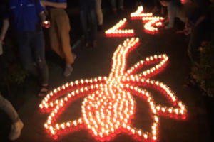 TP Hồ Chí Minh: Thắp nến tri ân các anh hùng liệt sĩ TP Hồ Chí Minh: Thắp nến tri ân các anh hùng liệt sĩ