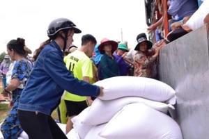Hơn 14.000 tấn gạo cứu đói dịp Tết và giáp hạt năm 2024