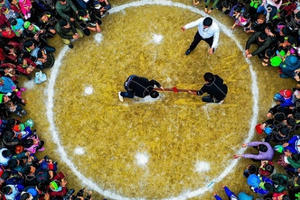 Những khoảnh khắc nhiếp ảnh thể thao đẹp nhất của Việt Nam