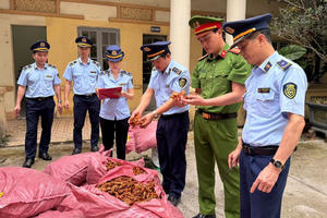 Bắt giữ 1.500 kg chân gà không rõ nguồn gốc xuất xứ tại Lạng Sơn