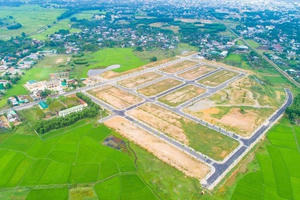 Phê duyệt Nhiệm vụ lập điều chỉnh quy hoạch sử dụng đất quốc gia thời kỳ 2021 - 2030