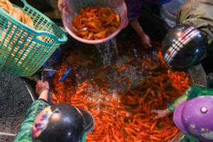 Cảnh tất bật trong khu chợ bán "siêu xe" tiễn ông Công, ông Táo ở Hà Nội