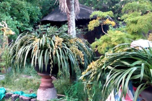 Phi vụ 'có 1 không 2': Áp tải 500 triệu địa lan cho đại gia Sài thành