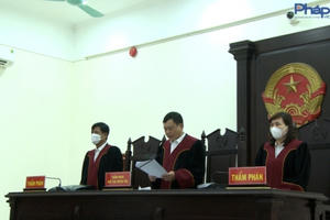Những phán quyết khó hiểu của TAND tỉnh Ninh Bình