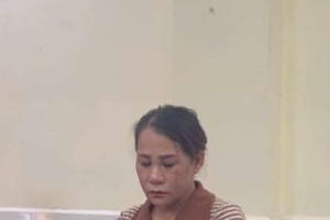 Khởi tố, bắt giam người phụ nữ có "biệt tài" làm sổ đỏ đất rừng, chiếm đoạt 5,9 tỷ đồng