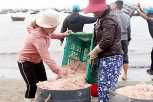 Nhộn nhịp chợ 'lộc biển'
