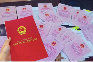 Sẽ đổi sổ đỏ ghi sai vị trí đất từ năm 2025