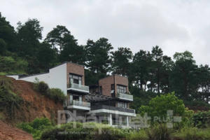 Vụ xẻ thịt rừng phòng hộ ở huyện Sóc Sơn: UBND huyện khẳng định nội dung Pháp luật Plus đăng tải là đúng