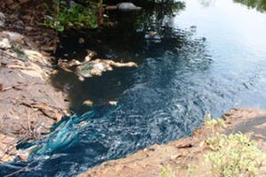 Phải luôn cảnh giác