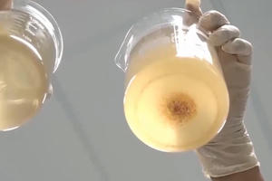 Phân biệt thực phẩm chức năng viên uống nano thật giả