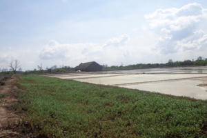 Vụ đất nông nghiệp bị “hô biến” thành đất rừng phòng hộ ở Bà Rịa - Vũng Tàu: Rừng giao khoán sau 1 năm gần như biến mất?