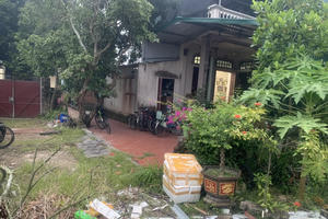 Vụ tranh chấp về hợp đồng chuyển nhượng QSDĐ, yêu cầu hủy giấy chứng nhận QSDĐ tại Hải Phòng: Cấp sơ thẩm không chấp nhận yêu cầu của nguyên đơn