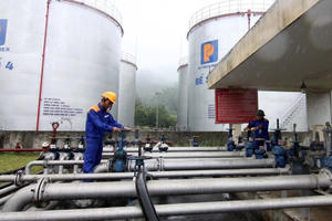 Petrolimex sẽ chi gần 1.000 tỷ đồng trả cổ tức năm 2022