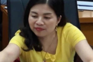 Vì sao nữ Phó chủ tịch huyện Cao Lộc, tỉnh Lạng Sơn bị khởi tố và bắt tạm giam? Vì sao nữ Phó chủ tịch huyện Cao Lộc, tỉnh Lạng Sơn bị khởi tố và bắt tạm giam?