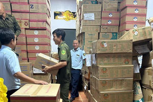 Phát hiện gần 25 tấn sữa bột không rõ nguồn gốc, xuất xứ ở Long An