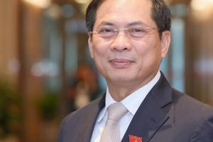 Chân dung tân Bộ trưởng Bộ Ngoại giao Bùi Thanh Sơn