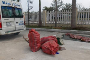 Quảng Nam: Bắt giữ gần 300 kg thịt heo không rõ nguồn gốc